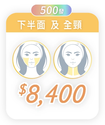 $8,400 / 500 發 (下半面 及 全頸)